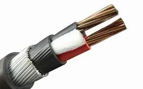 2.5x2 Copper ug cable